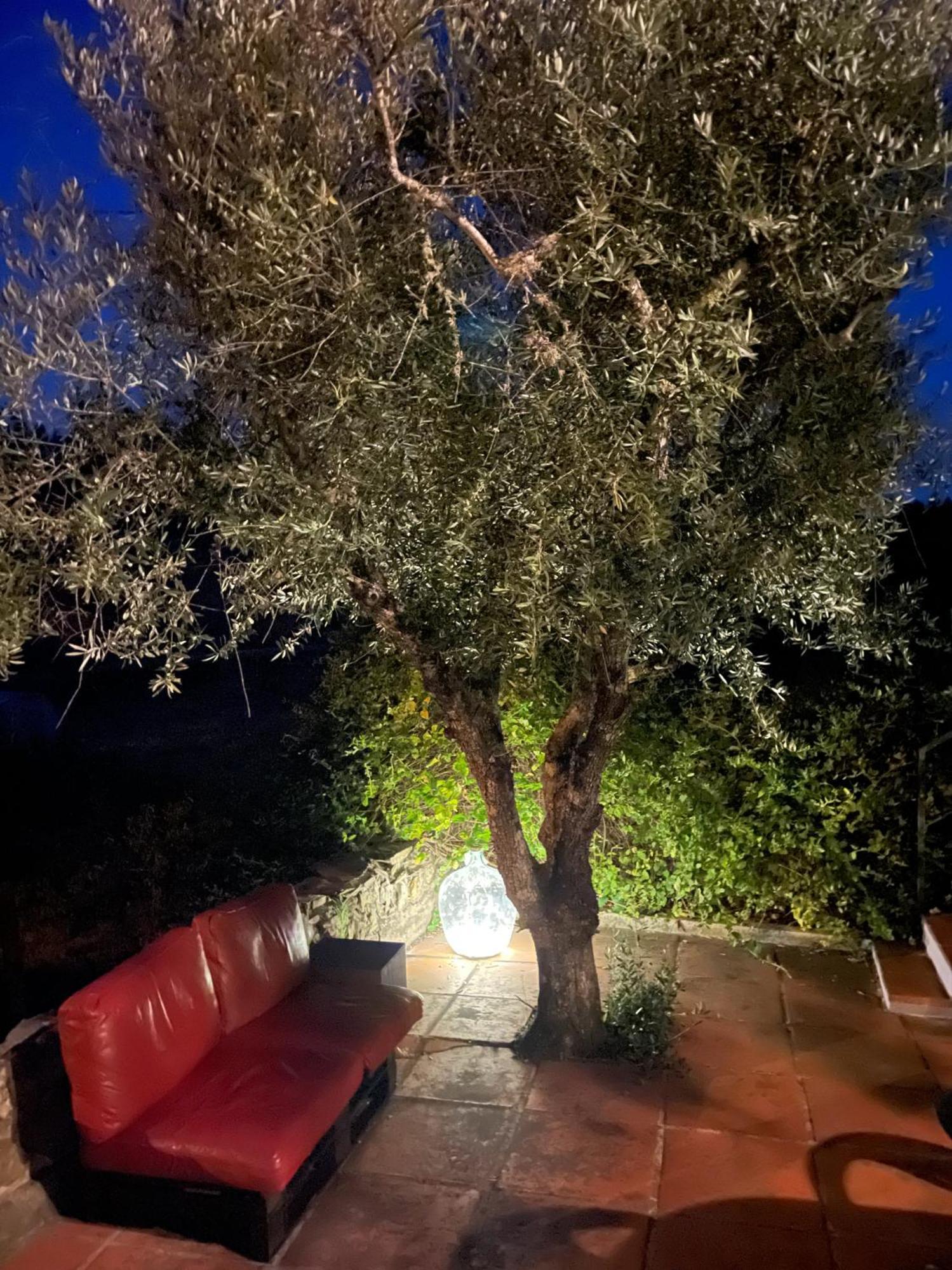 דירות וילה דה ריי Quinta Do Eco מראה חיצוני תמונה