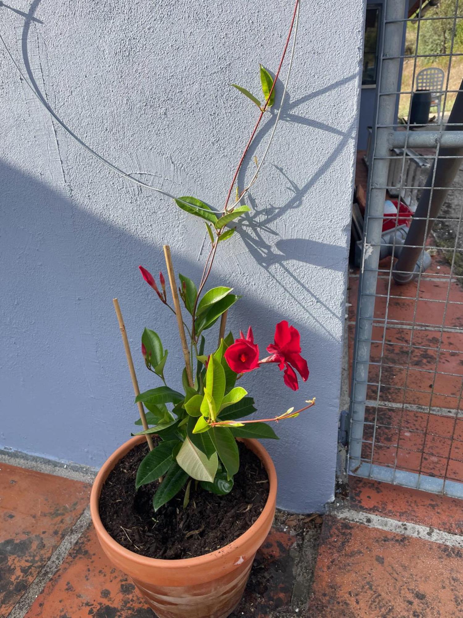 דירות וילה דה ריי Quinta Do Eco מראה חיצוני תמונה