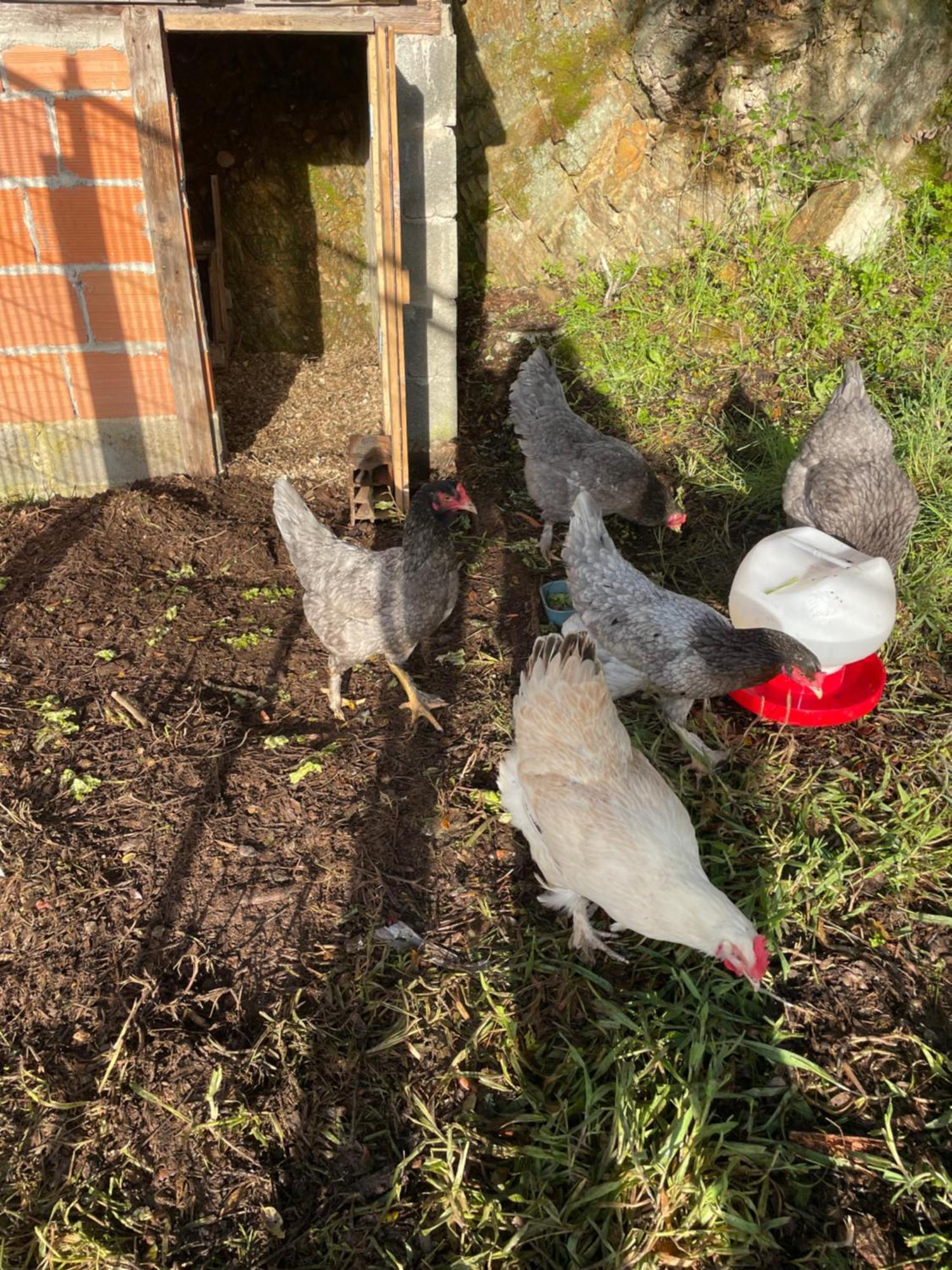 דירות וילה דה ריי Quinta Do Eco מראה חיצוני תמונה